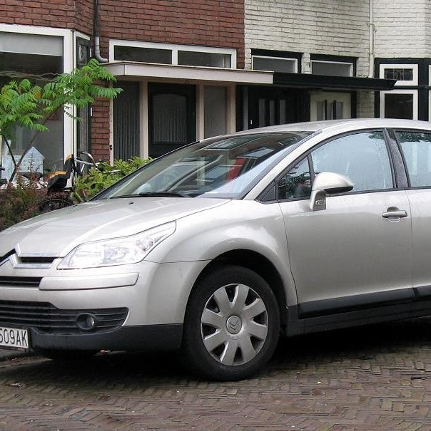 Porte-skis Citroën C-Triomphe