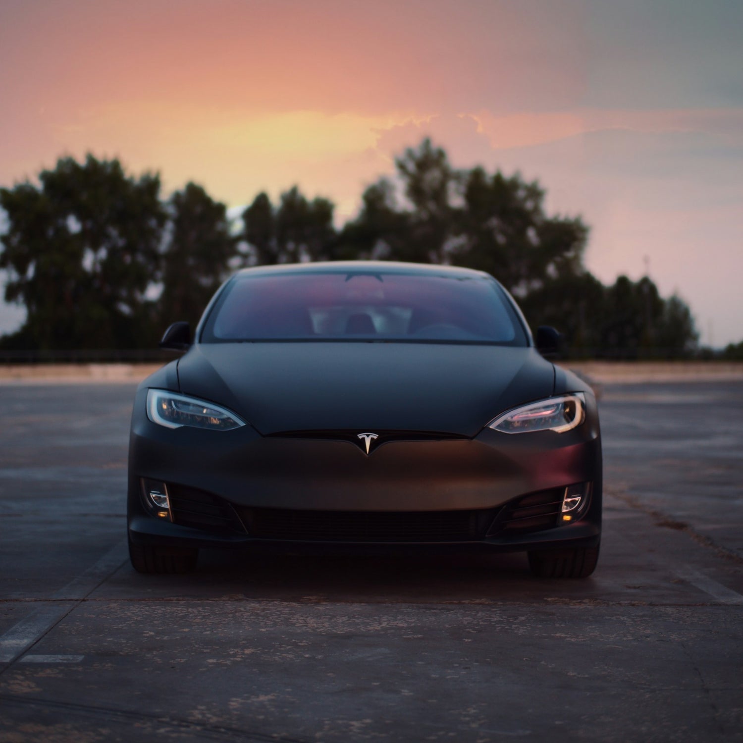 Porte-vélos Tesla Model S