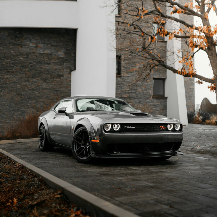 Dodge Challenger Ski Rack/Carrier