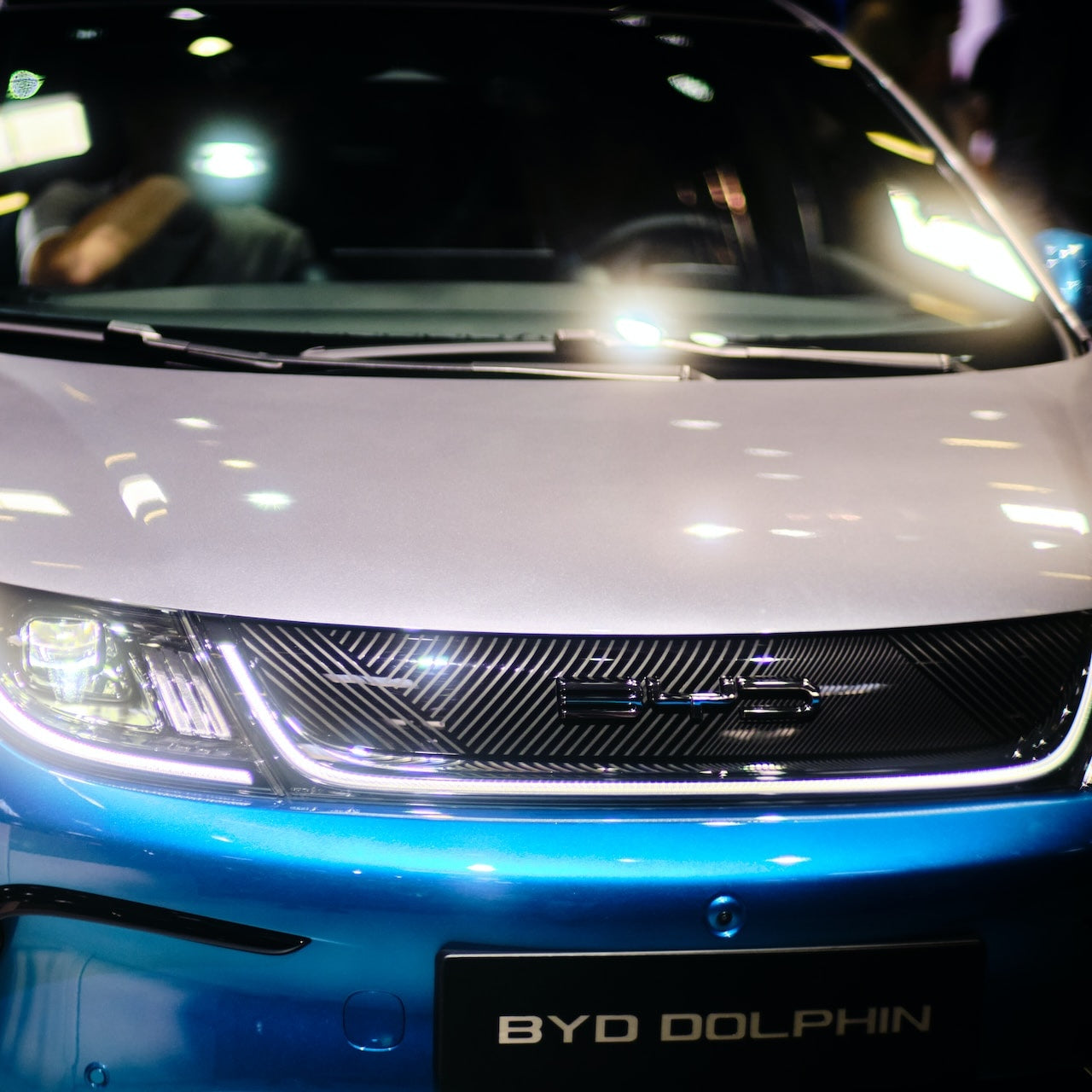 Porte-vélos BYD Dolphin