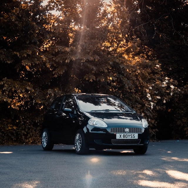 Porte-vélos Fiat Punto