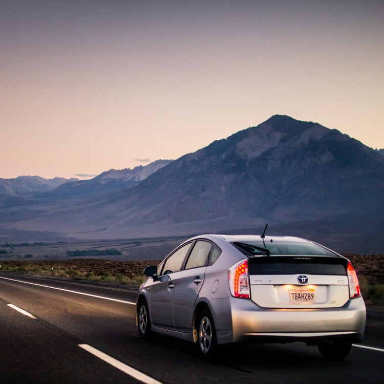 Toyota Prius Ski Rack/Carrier