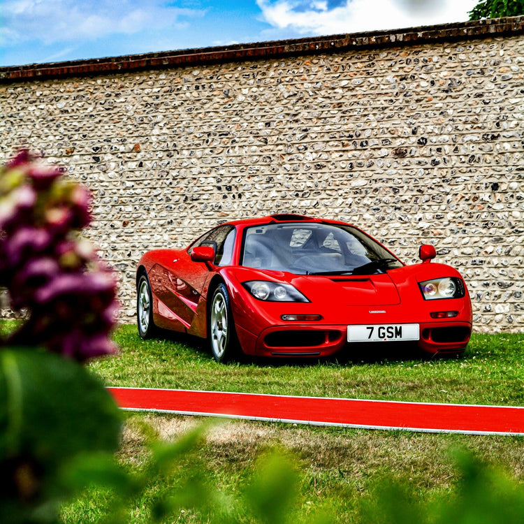 Porte-skis/porte-skis McLaren F1